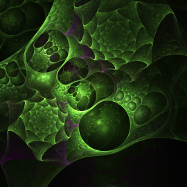 apophysis greenweb sc0t0ma