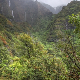 kauai_30.jpg