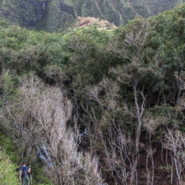 kauai_33.jpg