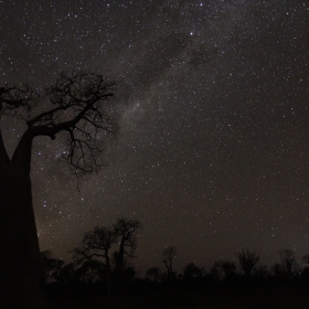 Madagascar in space