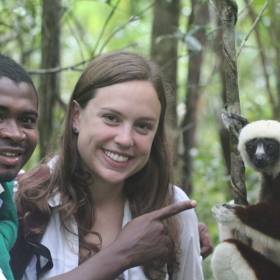 Coquerel's Sifaka