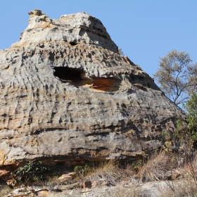 skull